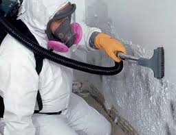 Best Mold Damage Restoration  in USA